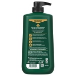 Irish Spring 5 in 1 Body Wash for Men, Men's Body Wash, Smell Fresh and Clean for 24 Hours, Conditions and Cleans Body, Face, and Hair, Made with Biodegradable Ingredients, 30 Oz Pump - Image 2