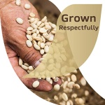 NESCAFE Taster's Choice, House Blend Light Medium Roast Instant Coffee, 8 boxes (144 Packets) - Image 2